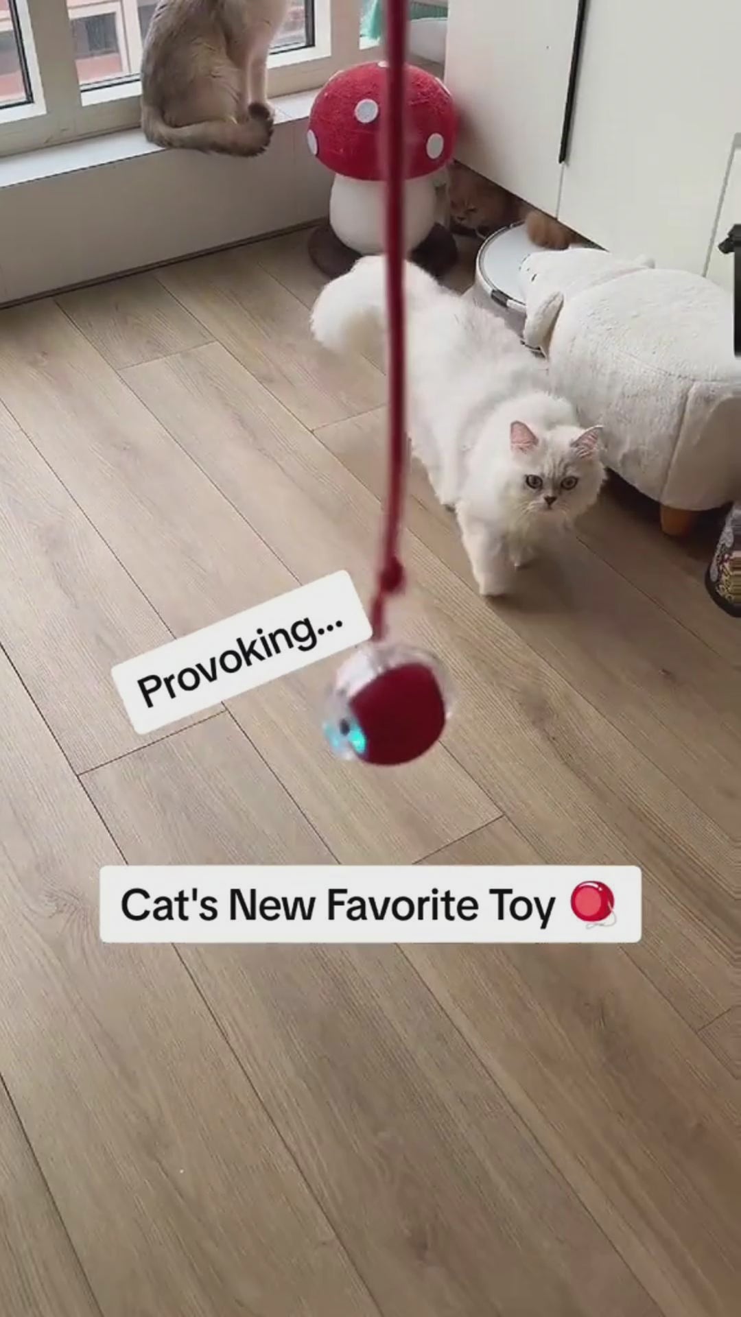 Tail Twister™ Cat Toy – Keeps Your Cat Active & Happy