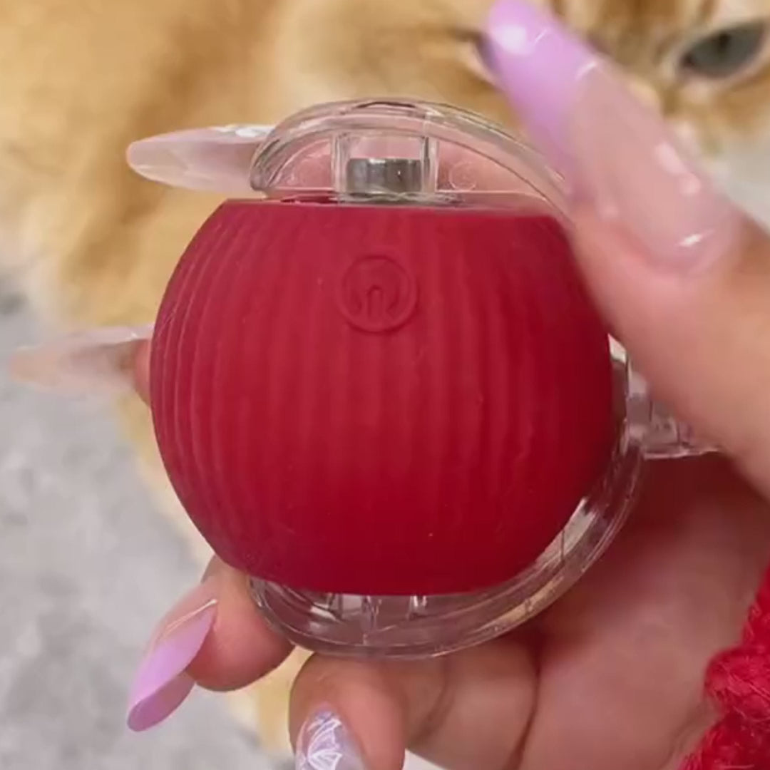 Tail Twister™ Cat Toy – Keeps Your Cat Active & Happy