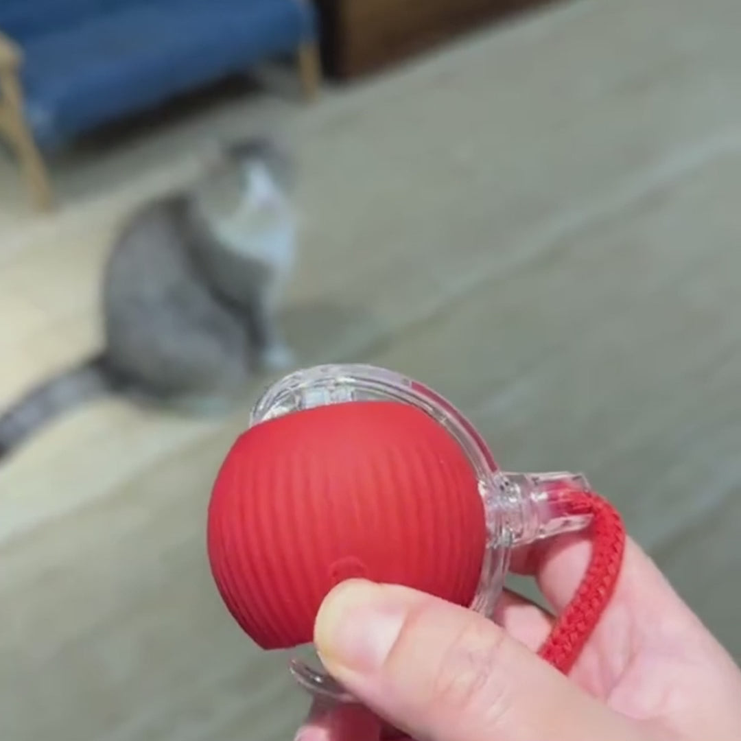 Tail Twister™ Cat Toy – Keeps Your Cat Active & Happy