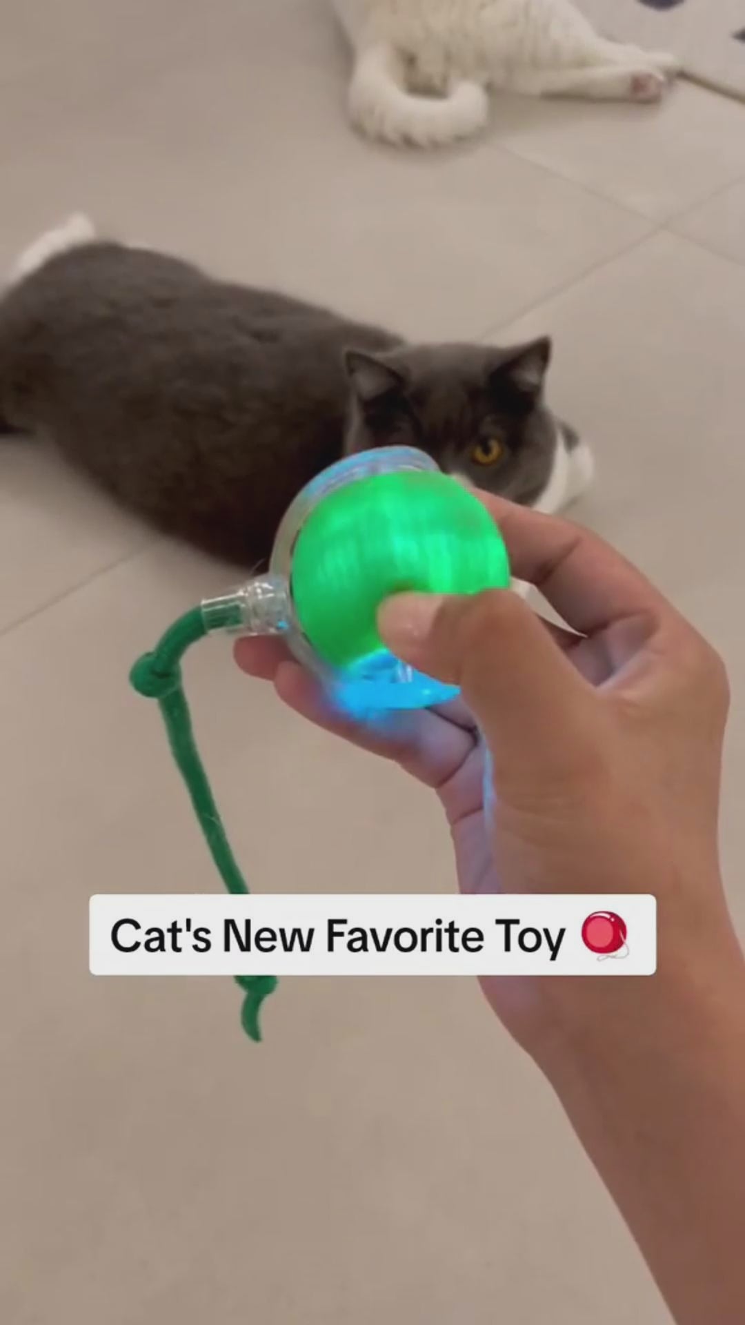 Tail Twister™ Cat Toy – Keeps Your Cat Active & Happy