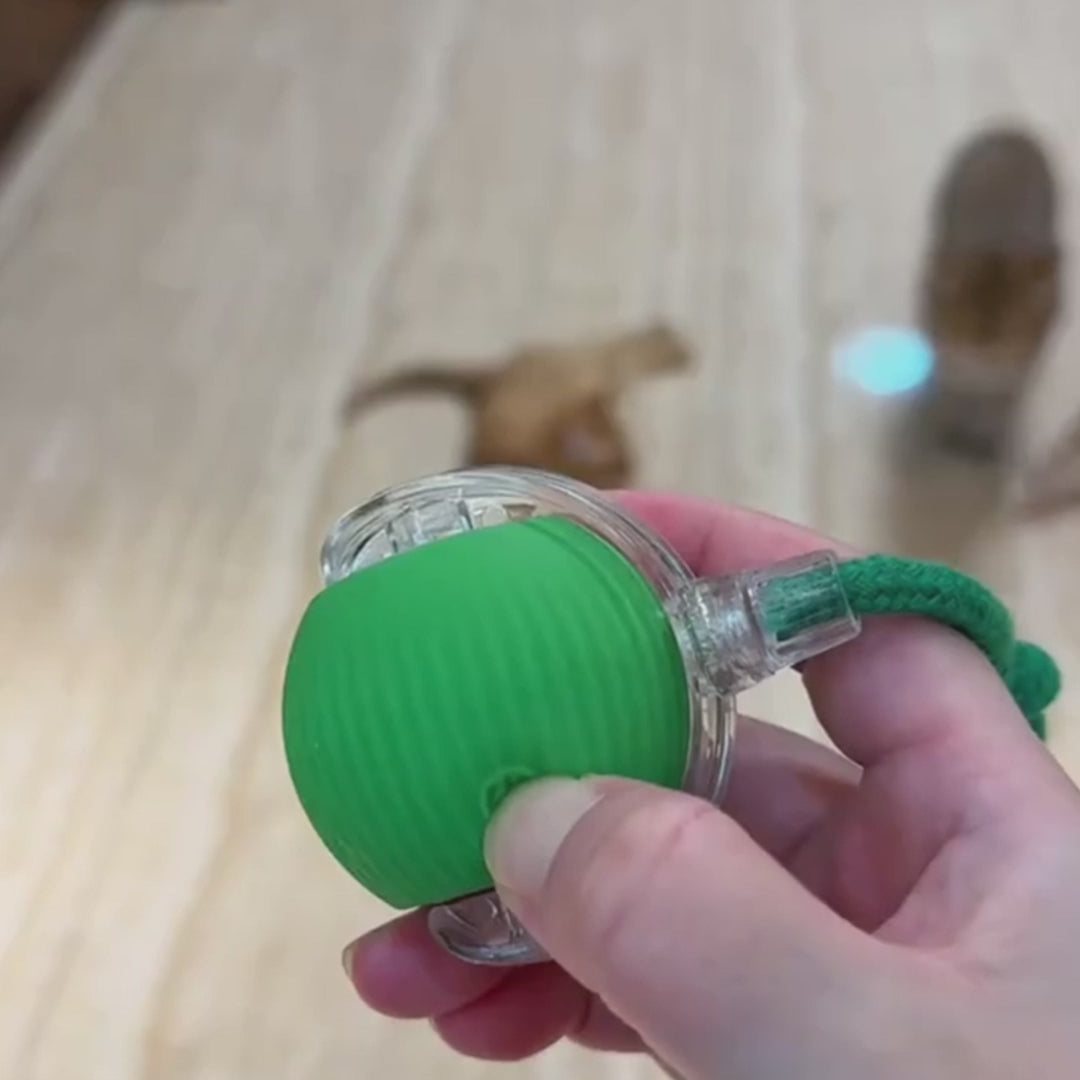 Tail Twister™ Cat Toy – Keeps Your Cat Active & Happy